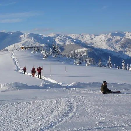 Brechhorn Premium 1 *